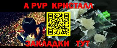 амф Дубна