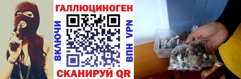 купить закладку  Златоуст  Псилоцибиновые грибы мицелий 