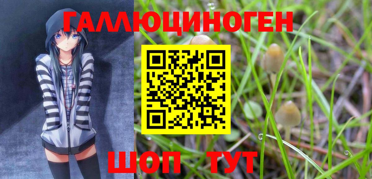 Псилоцибиновые грибы ЛСД Златоуст