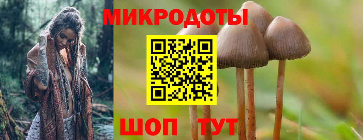 Псилоцибиновые грибы ЛСД  Вход с VPN  Псилоцибиновые грибы Psilocybine cubensis  Златоуст 